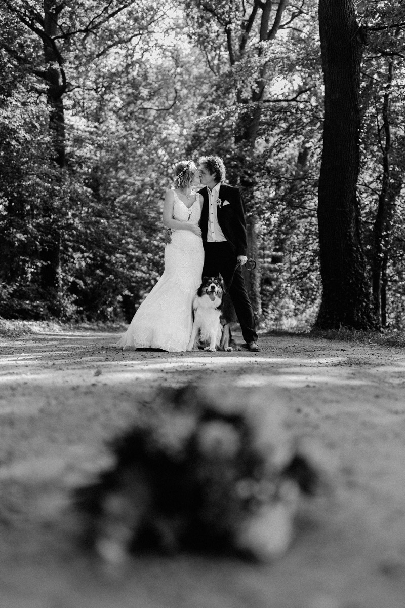 Hochzeitsfotos im Sommer in Vechta Hochzeitsfotograf Lichtbildlars Vechta